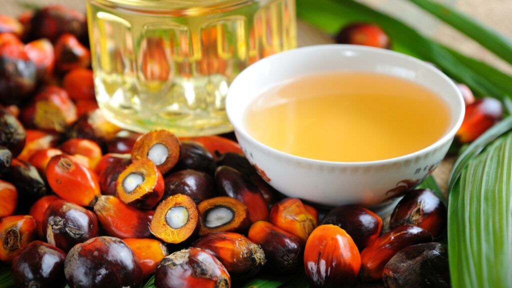 La producción de Aceite de palma a nivel mundial es importantes a nivel mundial 