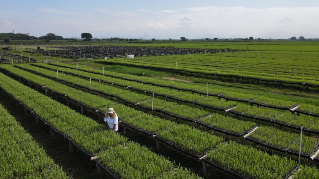 Grupo Magdalena reafirma su compromiso de proteger el medio ambiente