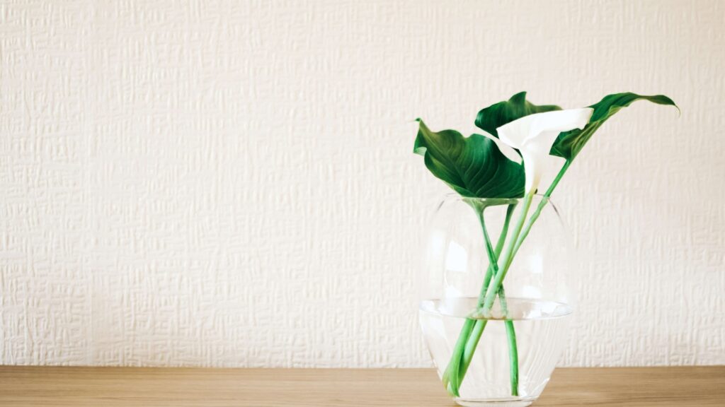 Agrega un olor fresco a tu hogar