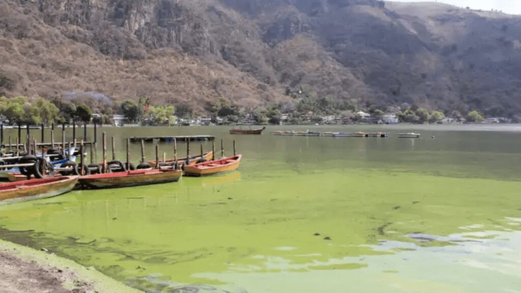 Grupo AJE se une a las misiones de limpieza del Lago de Amatitlán