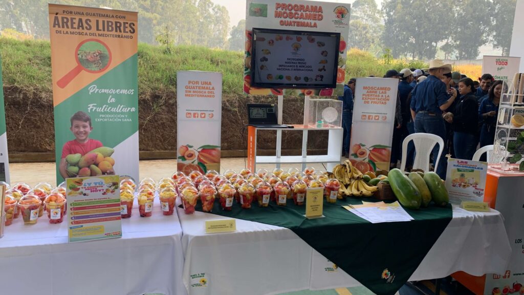 Moscamed participó en el día internacional de la fruta
