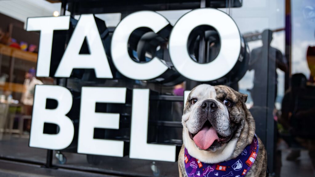 Arboreto San Nicolás presenta el primer Taco Bell Pet Friendly