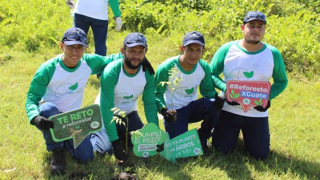 Corporación AG siembra árboles junto al INAB y la Municipalidad de Masagua