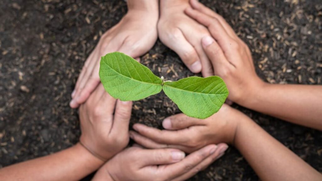 Cambio climático 2023: oportunidades en el mundo actual
