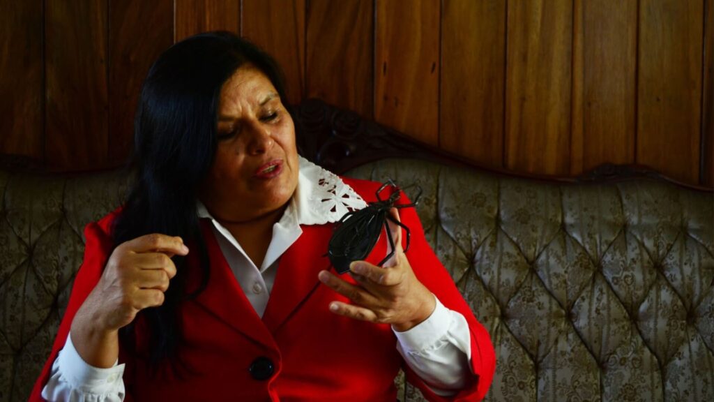 Cómo la ciencia ha ayudado a combatir la enfermedad de Chagas en Guatemala