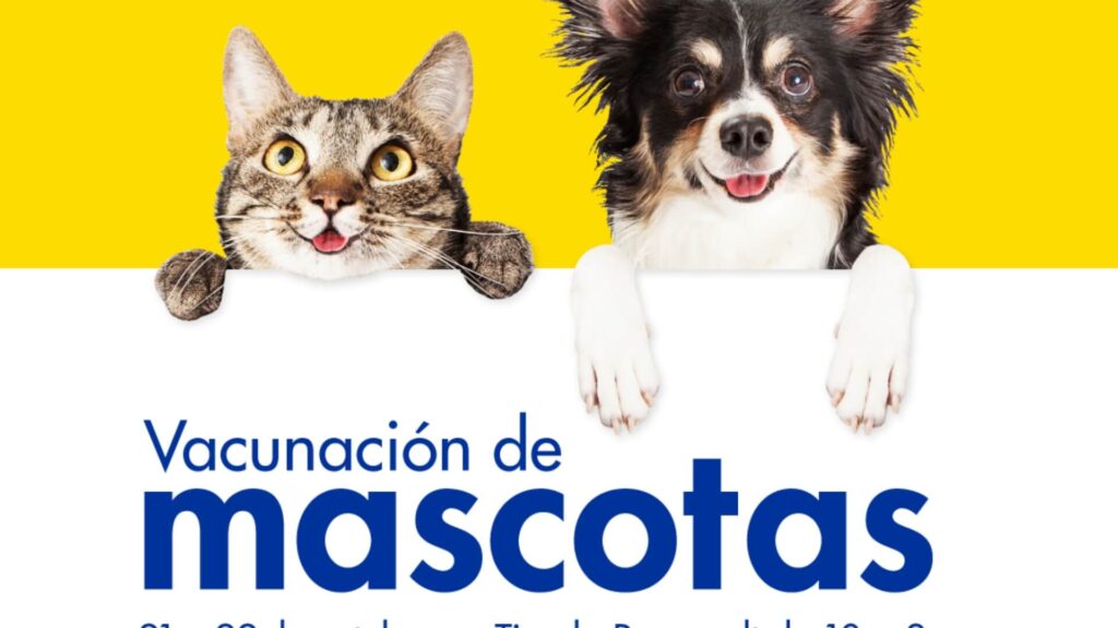 EPA realiza jornada de vacunación junto a Mascotas VIP