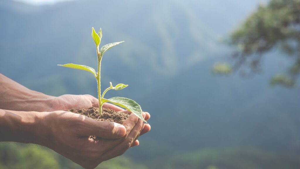 Comisión de Medio Ambiente del Sincyt propone soluciones para la sostenibilidad ambiental