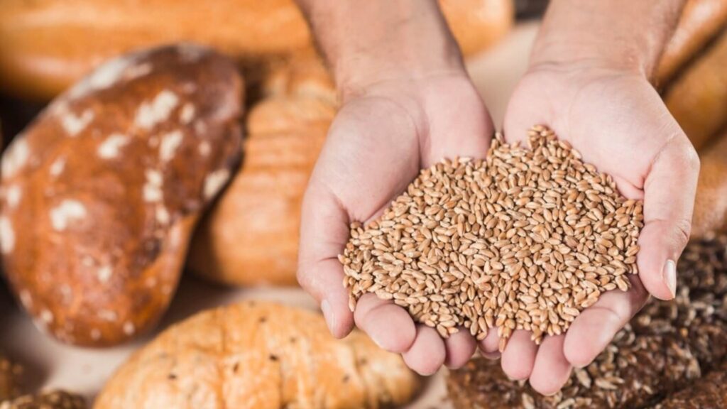 Conoce las diferencias entre Celiaquía y la intolerancia al gluten