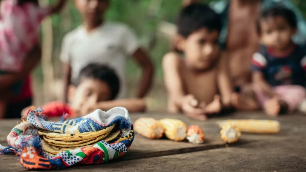 Semilla Nueva brilla como finalista en premio de los Emiratos Árabes Unidos