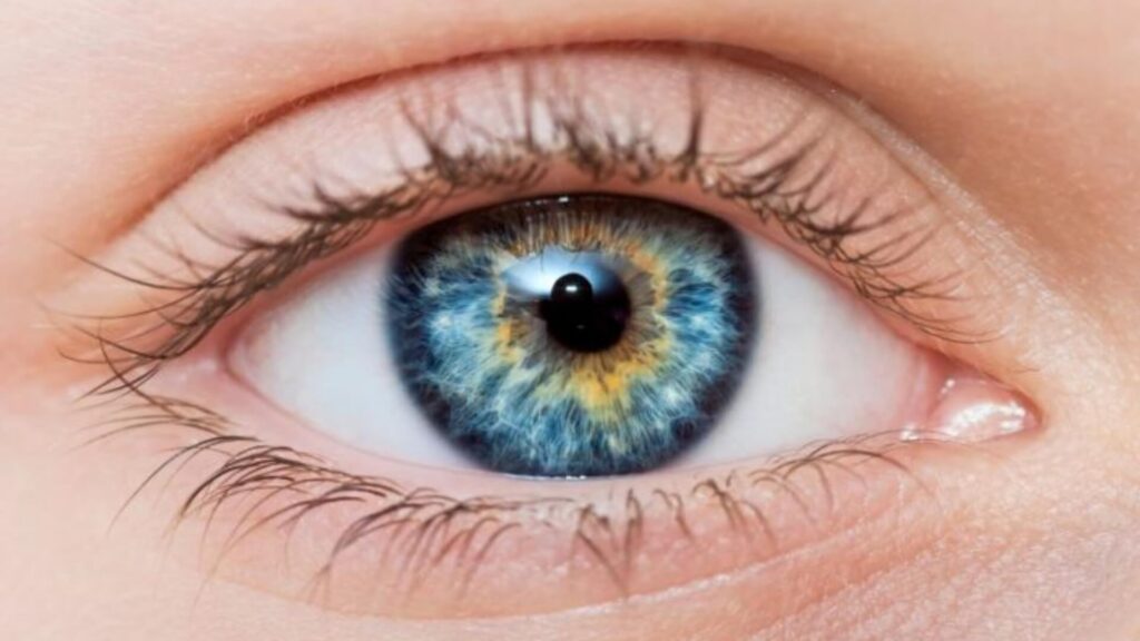 Buenos hábitos y tecnología de punta para proteger tus ojos