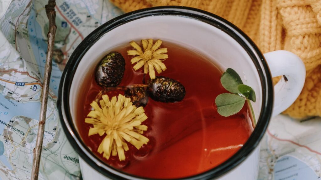 Conoce la diferencia entre té, infusión y tisana