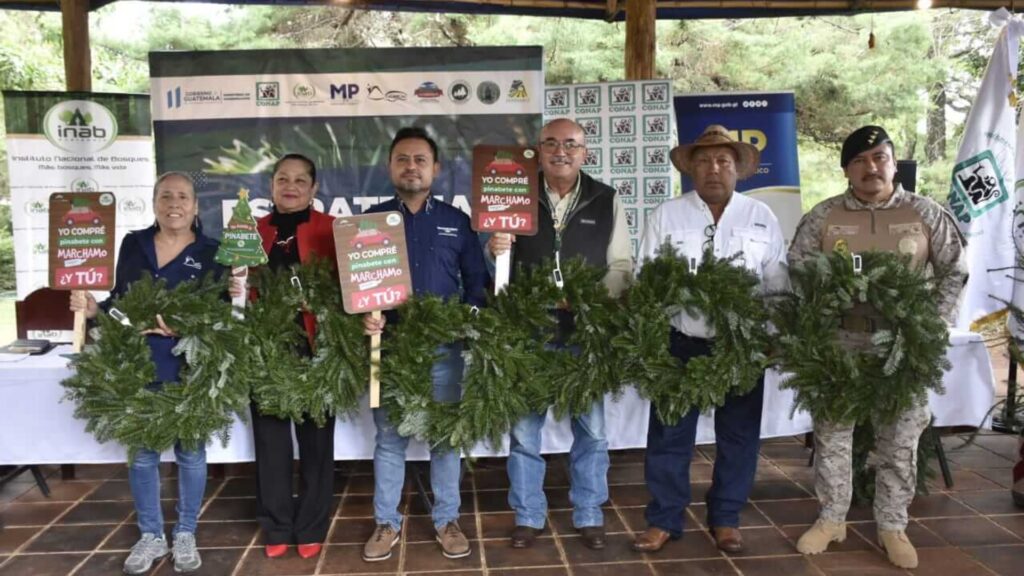 Lanzan campaña de control y conservación del pinabete