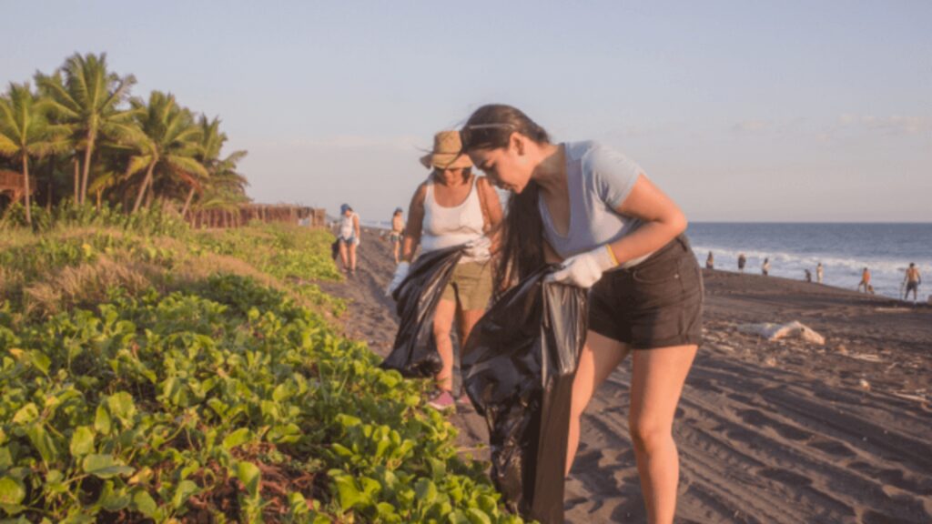 Voluntarios del BCIE realizan limpieza de playas y liberación de tortugas en Guatemala