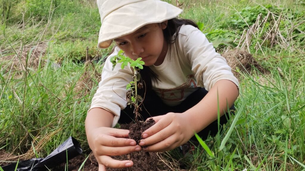 Conoce la iniciativa que rescata bosques andinos en Argentina  