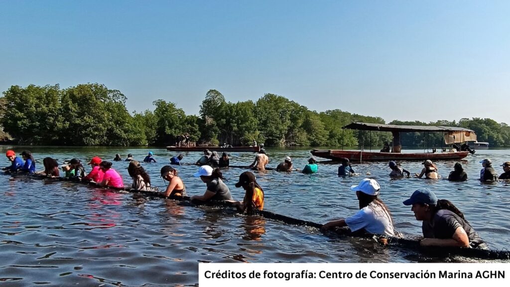 Bam celebra los primeros logros de la iniciativa “La Cuenta del Mar”