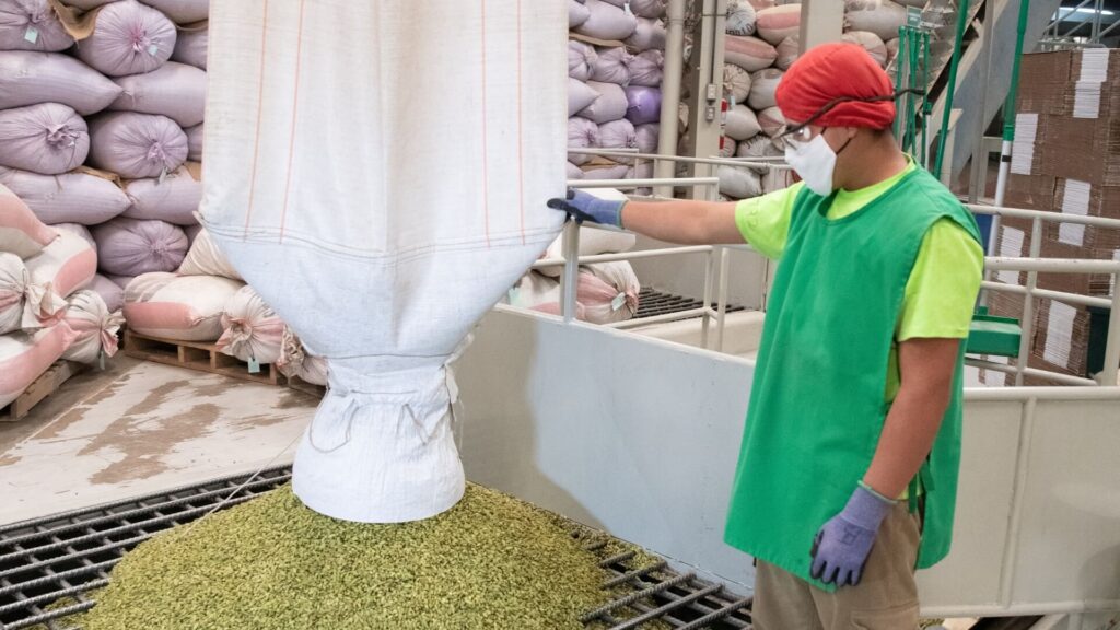 El cardamomo verde de CARDEX, la joya de la cocina global y la medicina