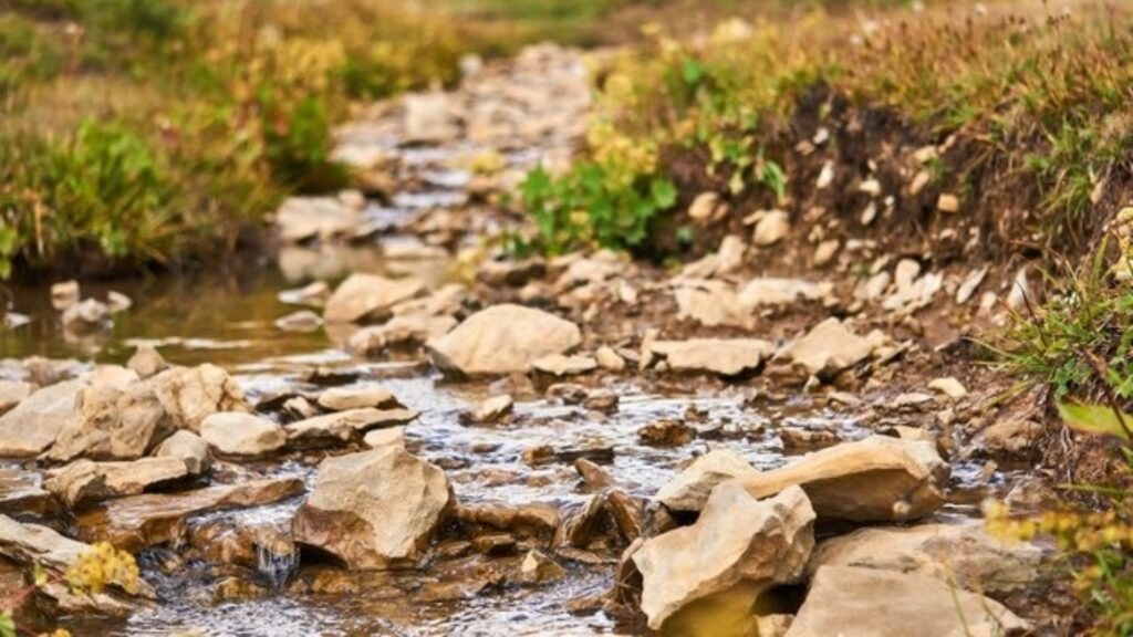 Déficit de lluvia en Guatemala marca el inicio de año más seco