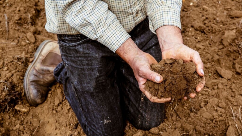 Syngenta ratifica su compromiso con el cuidado del planeta