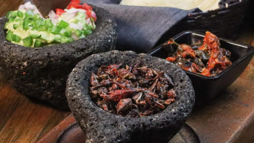 Platillos únicos y curiosos que encuentras en Uber Eats