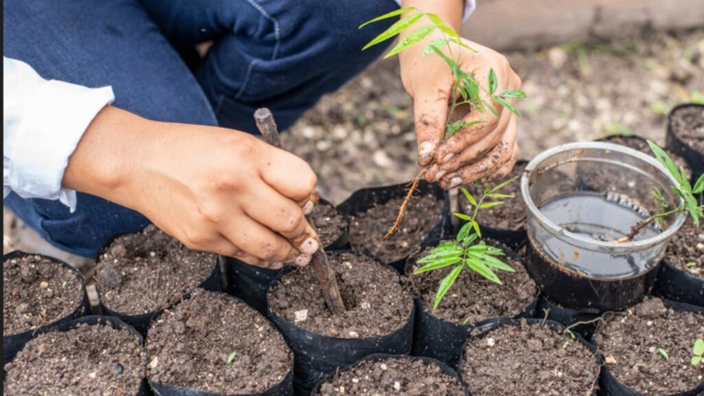 Iniciativas en Guatemala por el cuidado del ambiente