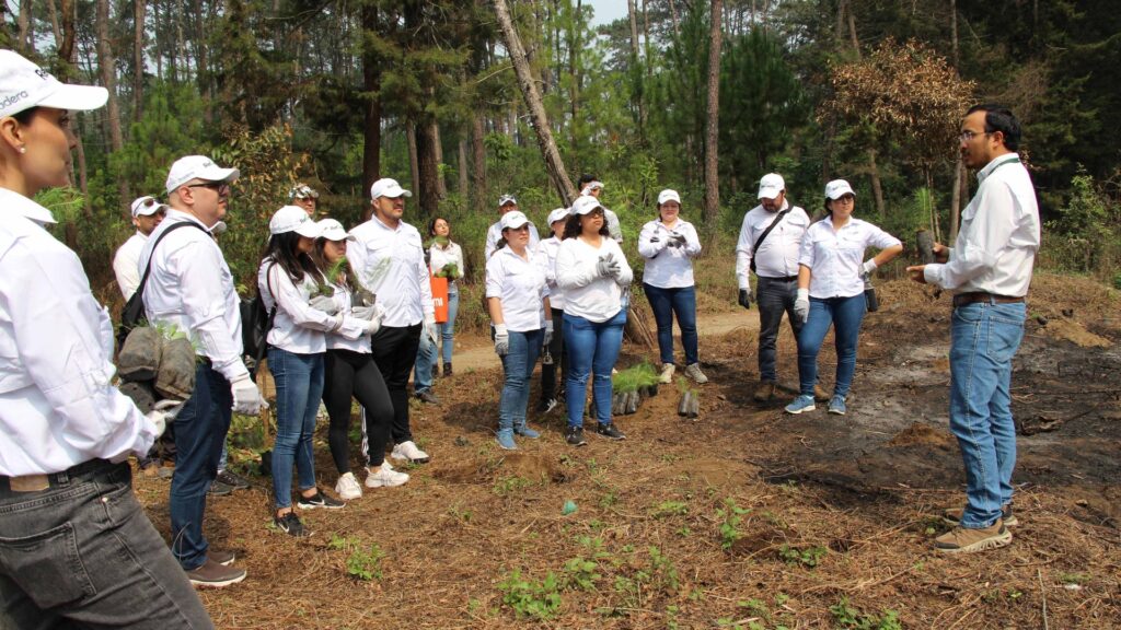 Pradera promueve jornada de reforestación 
