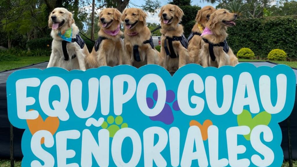 GUAU Señoriales: Huellas caninas que transforman vidas