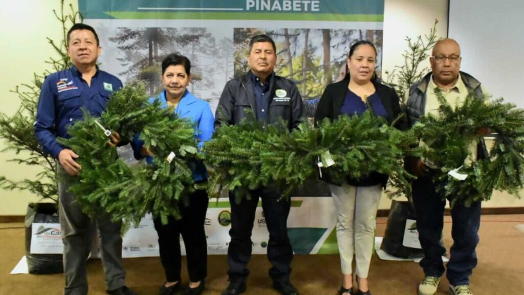 “II Simposio Nacional de Restauración, Conservación y Manejo de pinabete”