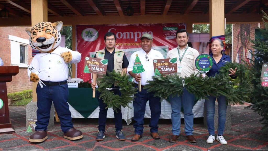 Se inauguran ferias del pinabete temporada navideña 2024 