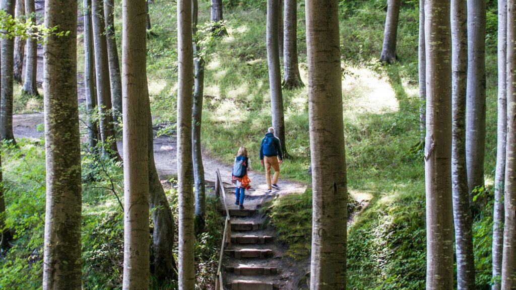 Conoce los Beneficios de la caminata