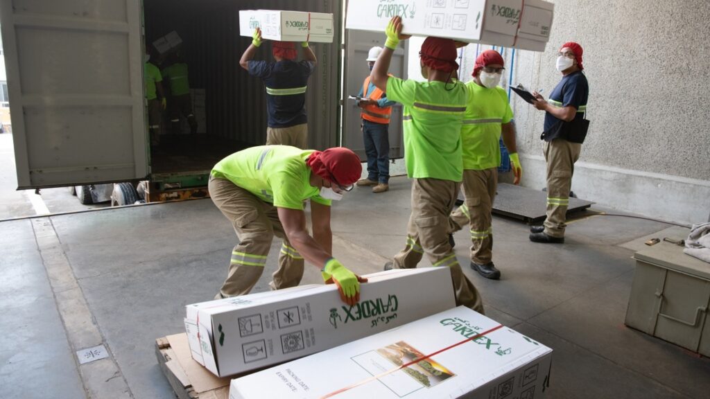 CARDEX a la vanguardia en la calidad de la pimienta gorda que exporta desde México