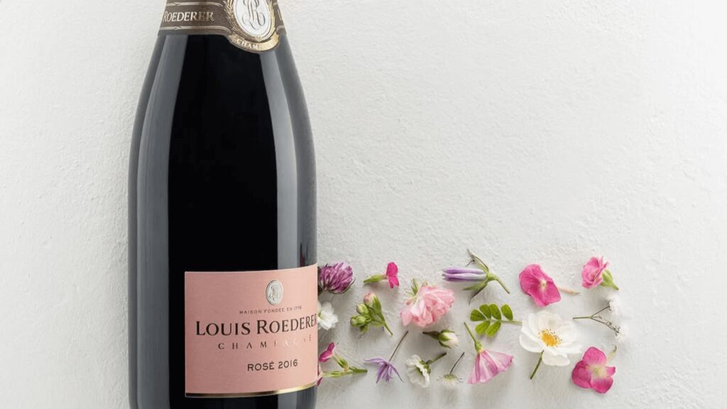 Descubre 4 recomendaciones de vinos para celebrar el fin de año