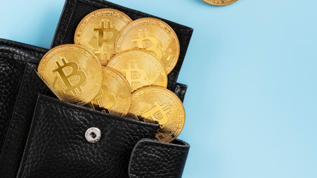 Criptomonedas en alza: cómo mantener una billetera a salvo de amenazas