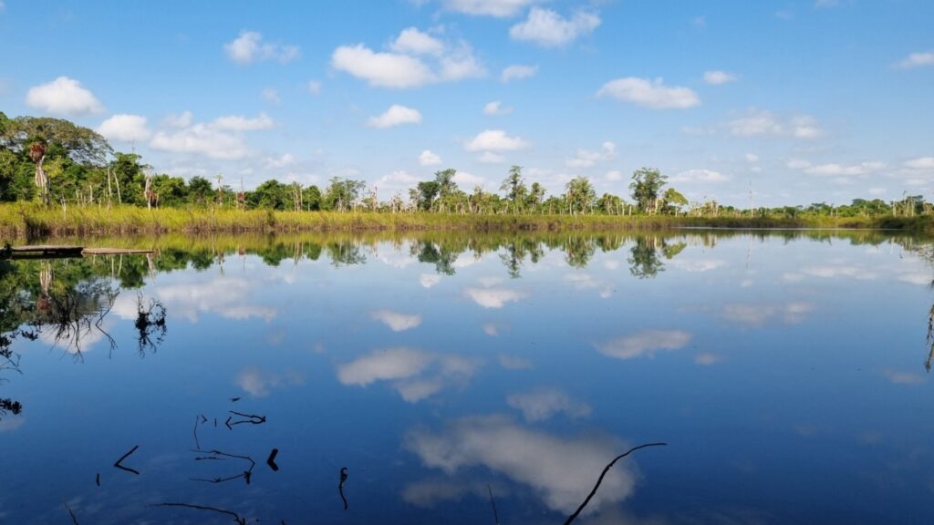 INAB rinde homenaje a los humedales, ecosistemas vitales de la biodiversidad mundial