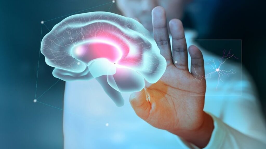 ¿Qué Debes Saber Sobre la Encefalitis?