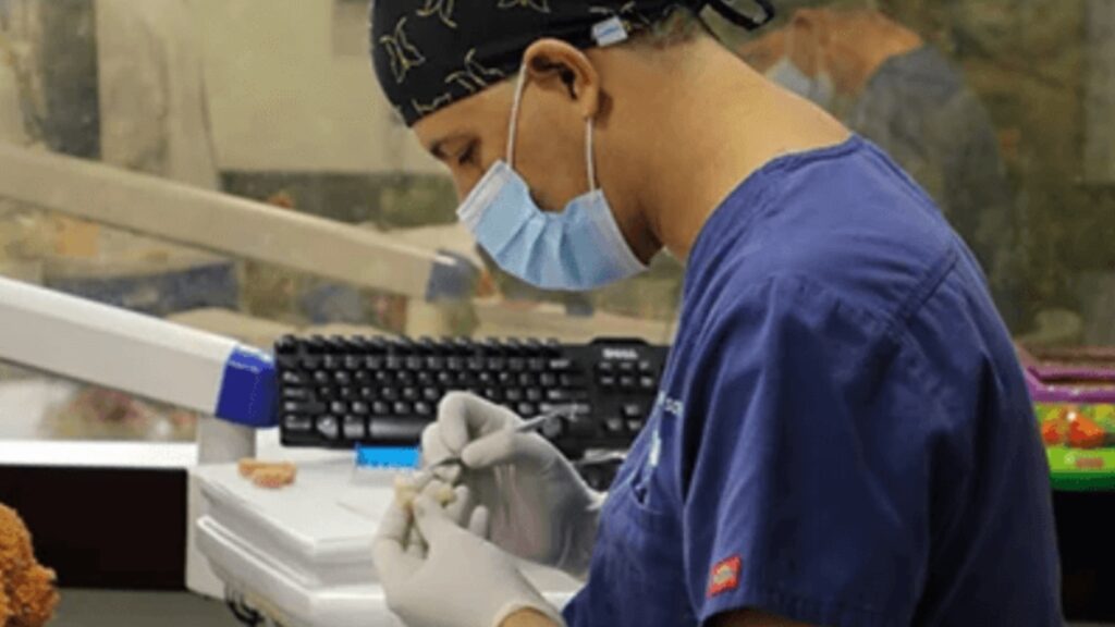 Día Mundial de la Salud Bucodental: compromiso con el bienestar