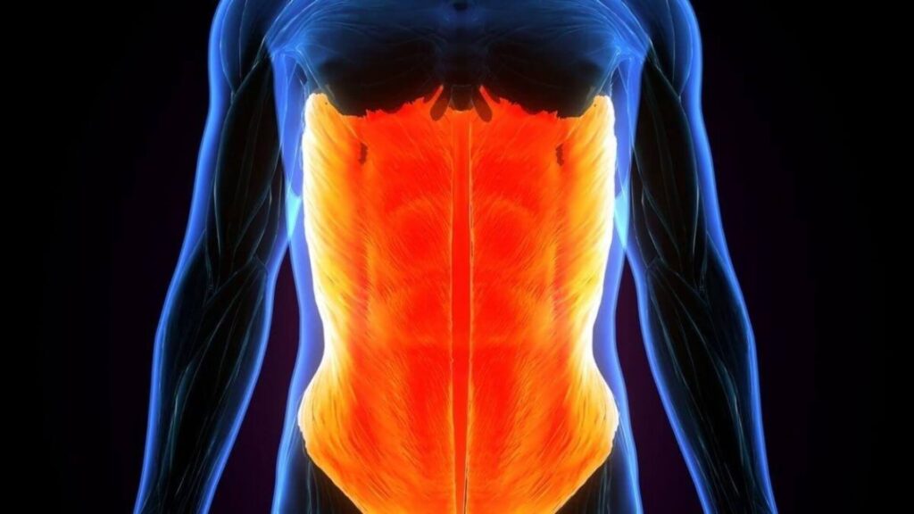 Consejos para proteger una parte del cuerpo en la que quizás no lo piense 