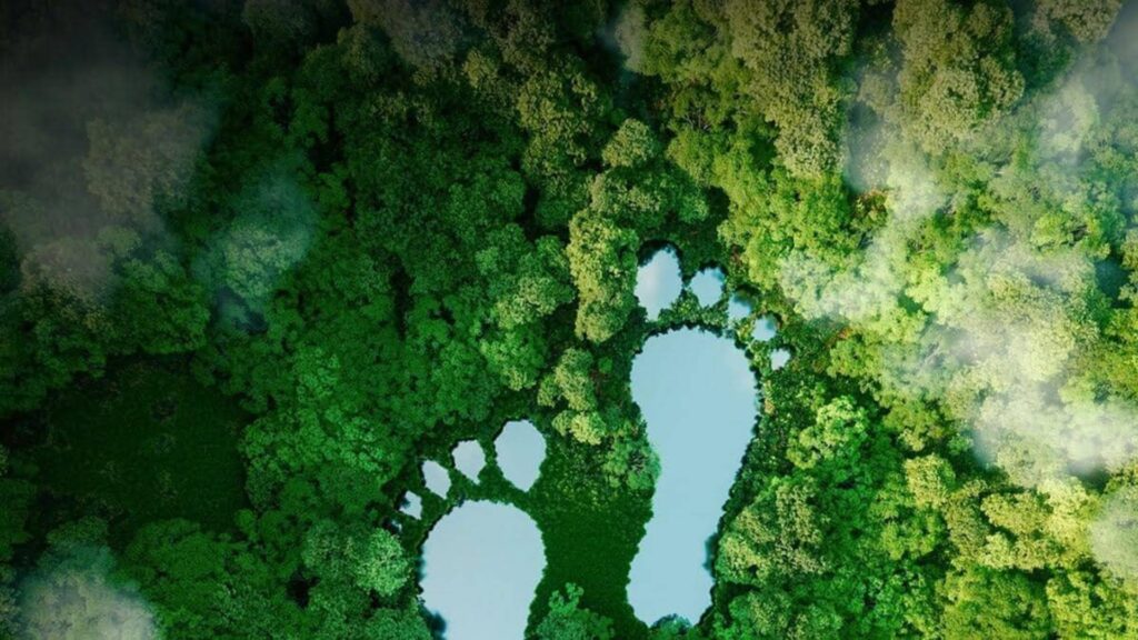 Pequeños avances tecnológicos, grandes cambios para la Tierra