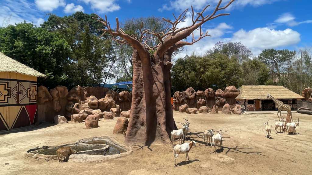 Vive una nueva aventura en la Sabana Africana del Zoológico La Aurora