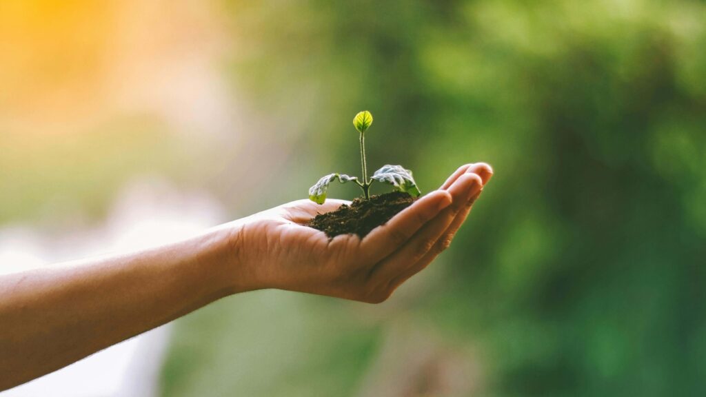 MAPFRE reduce su impacto ambiental con proyectos de biodiversidad en todo el mundo