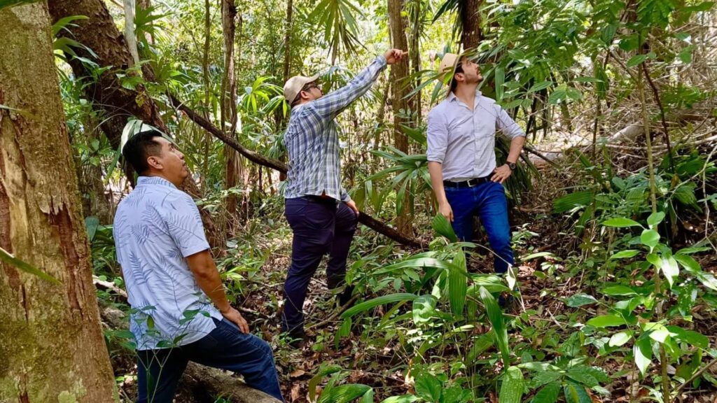 INAB firma alianza con Restor para potenciar la restauración forestal