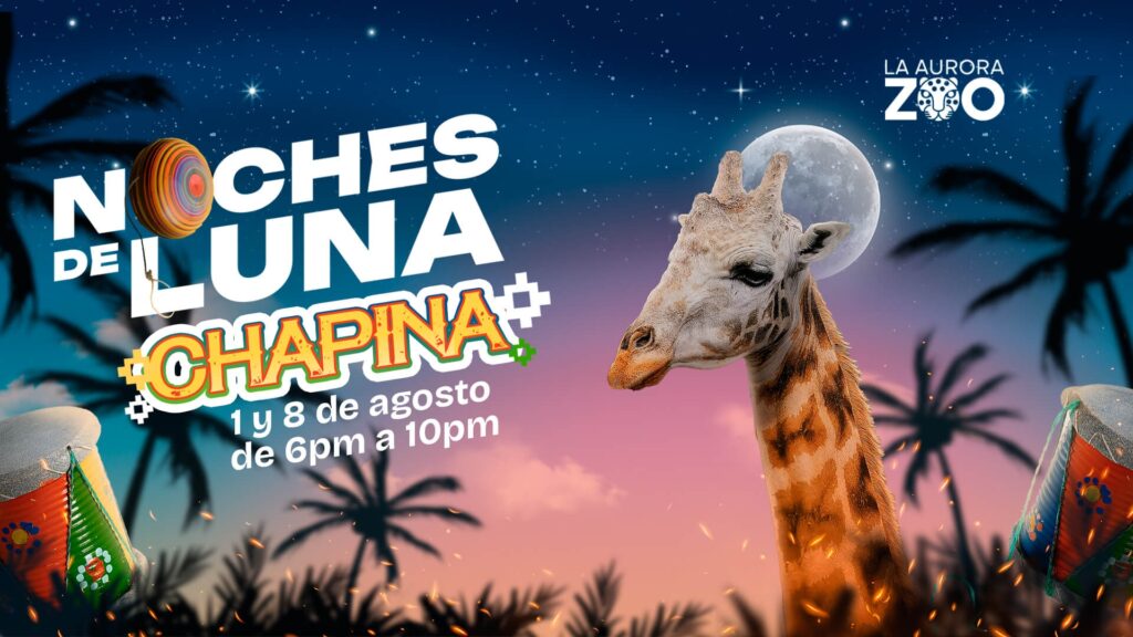 Vive la experiencia de Noches de Luna Chapinas en el Zoológico La Aurora