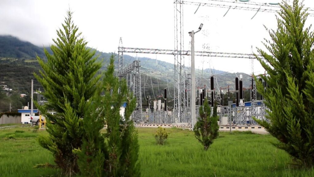 Energía sostenible: el sector eléctrico protege la biodiversidad