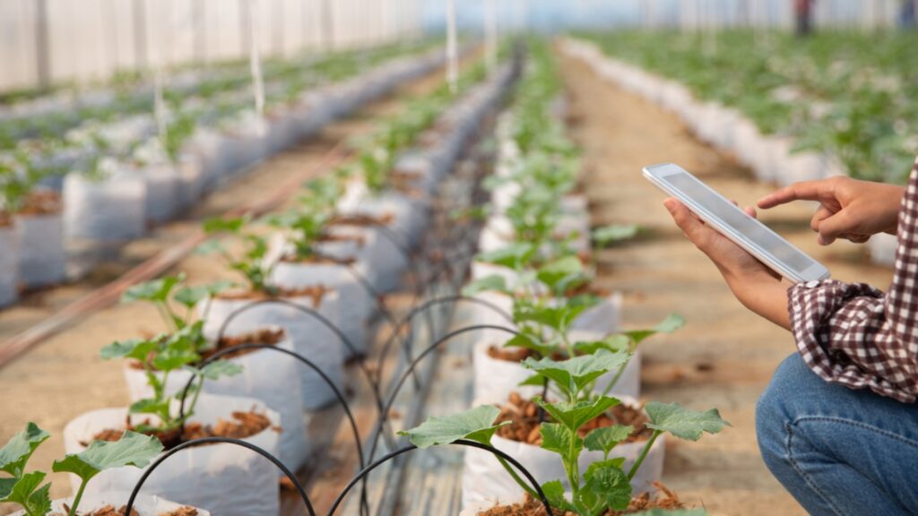 Alianza digital que impulsa la agroindustria y sus cadenas
