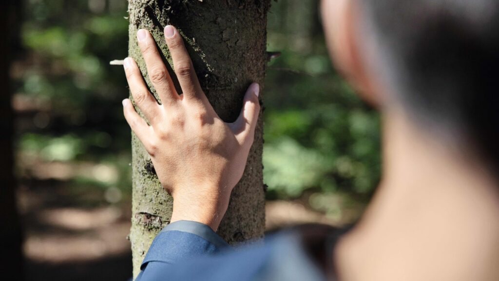 Tetra Pak promueve envases sostenibles FSC™ durante la Semana de los Bosques en Guatemala