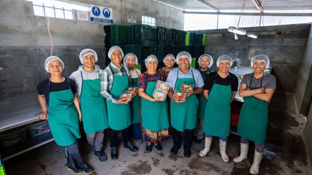 Walmart apoya a agricultores de Tecpán con el programa Tierra Fértil