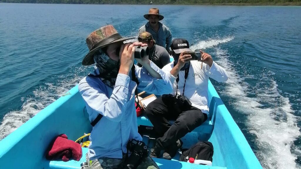 INAB promueve la protección de las aves migratorias en el marco de su día mundial