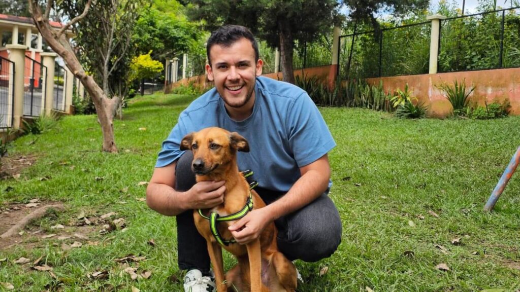 Guía práctica: mejora la salud y bienestar de tu mascota en 28 días