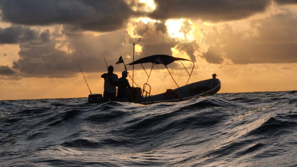 Fotografía profesional en tu bolsillo: conoce la Serie Xiaomi 15T