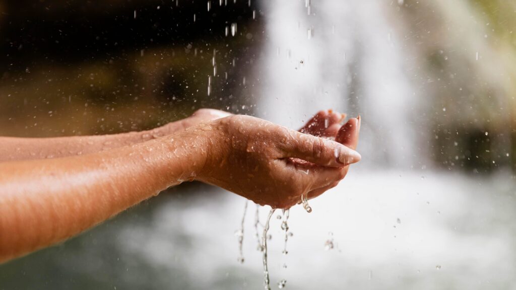 Nuevo informe de SWA revela impacto del género en la crisis climática durante la COP30