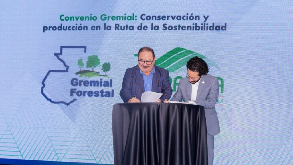 Guatemala apuesta por un futuro verde en el Encuentro Forestal 2025